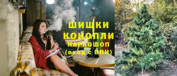 ПСИЛОЦИБИНОВЫЕ ГРИБЫ Армянск