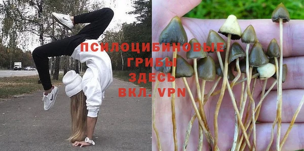 гидра Аркадак