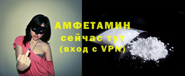 гидра Аркадак