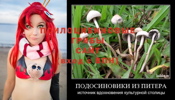 ПСИЛОЦИБИНОВЫЕ ГРИБЫ Армянск