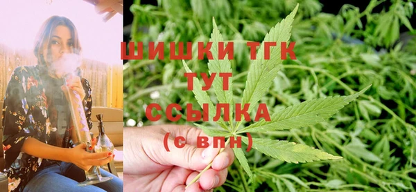гидра Аркадак