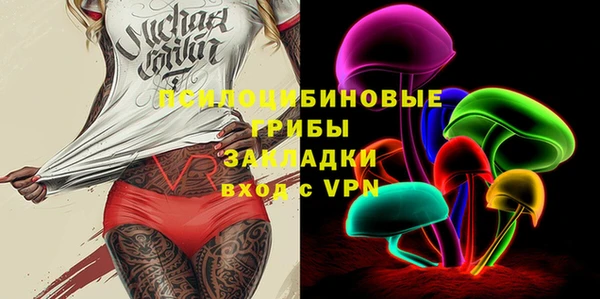 гидра Аркадак