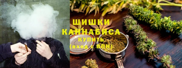 гидра Аркадак