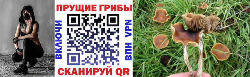 Галлюциногенные грибы MAGIC MUSHROOMS  даркнет сайт  Радужный 